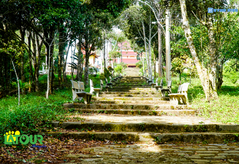 Lịch sử hình thành