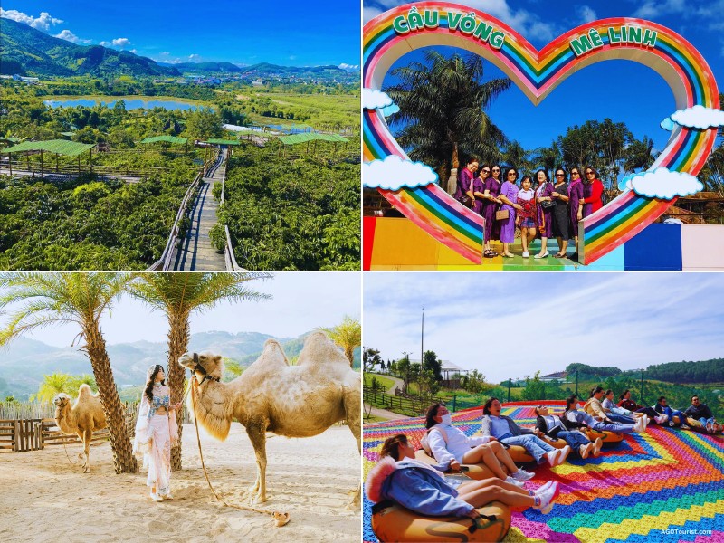 Tour Quy Nhơn Bình Định đi Đà Lạt 3 ngày 2 đêm