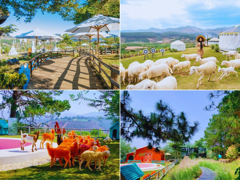 đi tour du lịch Đà Lạt 3 ngày 3 đêm